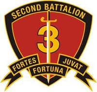 2ND BATTALION insignia