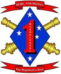 DELTA 2-11 insignia