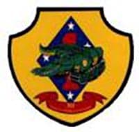 3RD AMTRAC BN insignia