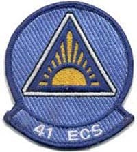 41 ECS insignia