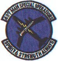 437 MAW insignia