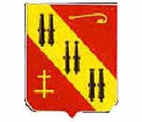 5-5 ADA insignia