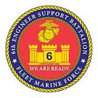6TH ESB insignia