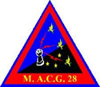 MACG-28 insignia