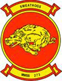 MWSS 273 insignia