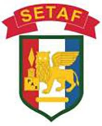 SETAF insignia