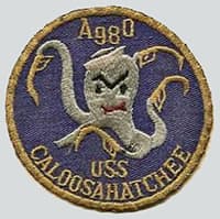 USS CALOOSAHATCHEE insignia