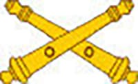 1-15 FA insignia