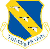 11th Wing insignia