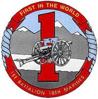 BRAVO 1-10 insignia