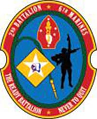 2-6 insignia