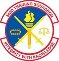 343 TRS insignia