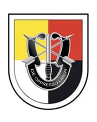 3RD SPECIAL FORCES GROUP insignia