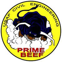 CIVIL ENGINEERING insignia