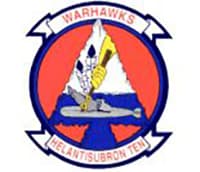 HS-10 insignia