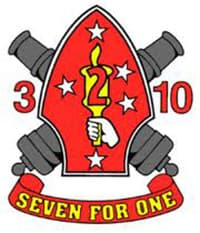 3-10 insignia