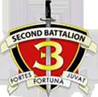 2-3 insignia