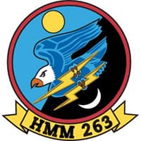HMM 263 insignia